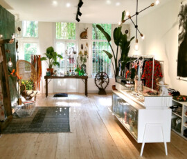 Website Haastje Repje Amsterdam