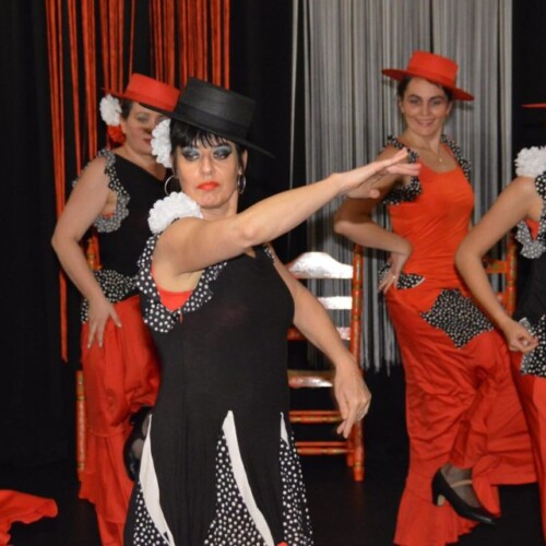 Dansschool Flamencovivo