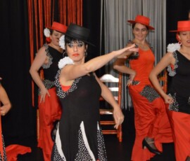 Dansschool Flamencovivo